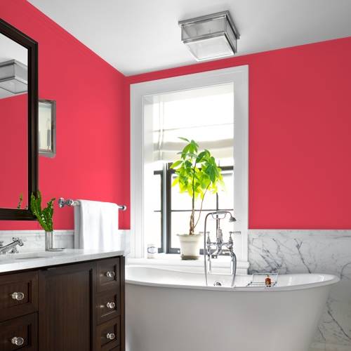 画材 berry Calypso Berry